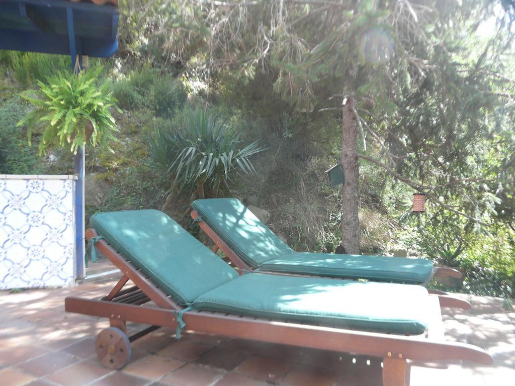 Hostal L'Ou De Reig Montseny Buitenkant foto
